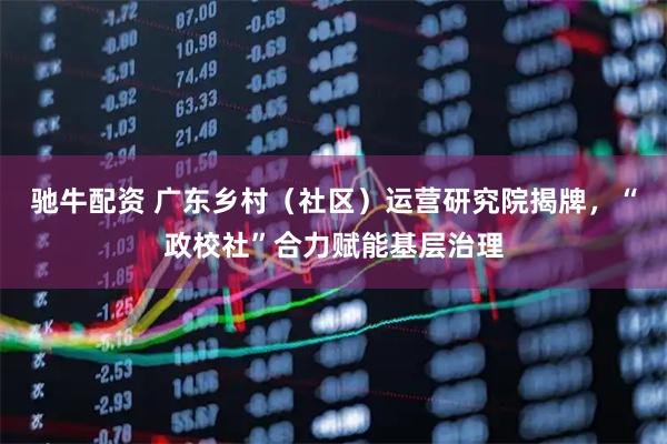 驰牛配资 广东乡村（社区）运营研究院揭牌，“政校社”合力赋能基层治理
