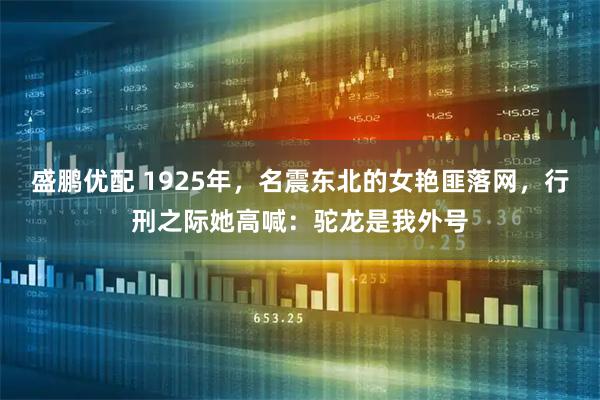 盛鹏优配 1925年，名震东北的女艳匪落网，行刑之际她高喊：驼龙是我外号