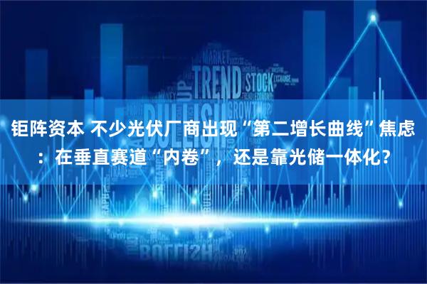钜阵资本 不少光伏厂商出现“第二增长曲线”焦虑：在垂直赛道“内卷”，还是靠光储一体化？