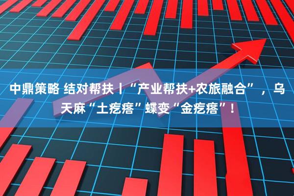 中鼎策略 结对帮扶丨“产业帮扶+农旅融合” ，乌天麻“土疙瘩”蝶变“金疙瘩”！