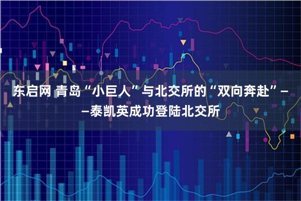 东启网 青岛“小巨人”与北交所的“双向奔赴”——泰凯英成功登陆北交所
